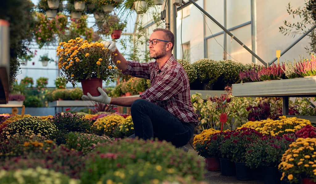 fleuriste prepare des fleurs