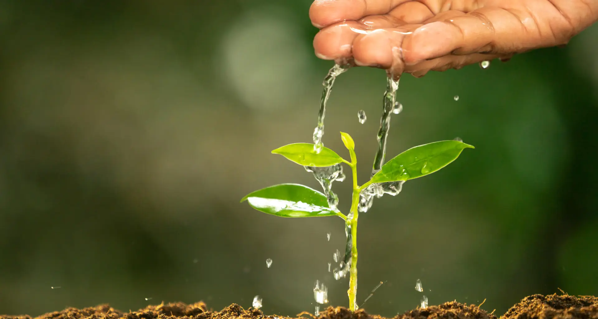 GettyImages 1318374823 (1)